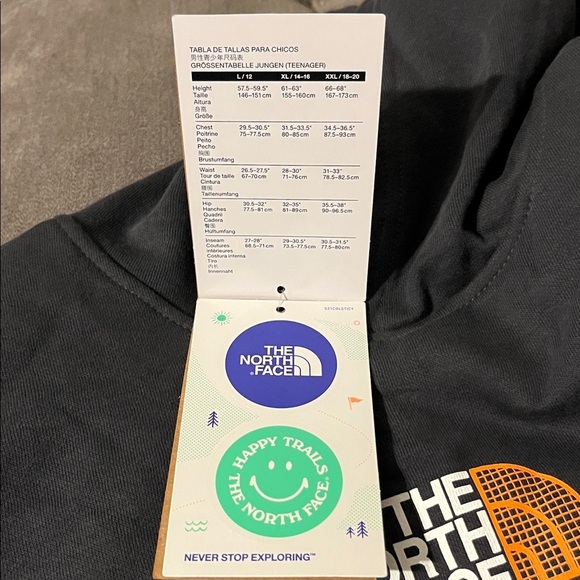 The North Face Charcoal Hoodie with Vibrant Orange Sleeve Design - Picture 13 of 14